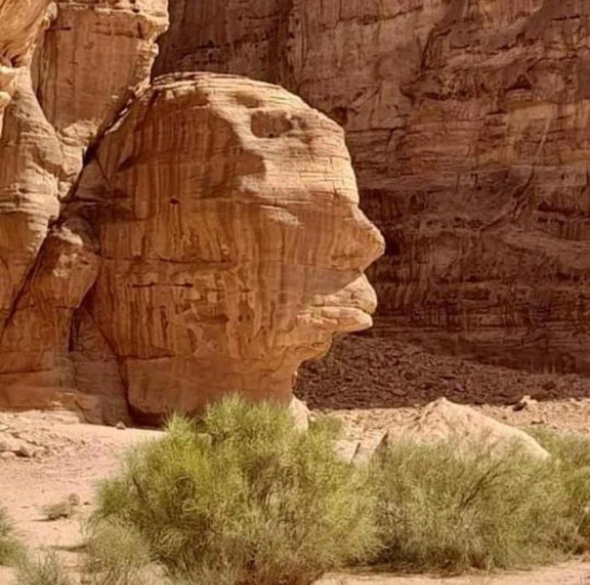Adel Rum Camp Bubbles Wadi Rum Eksteriør bilde