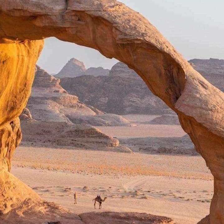 Adel Rum Camp Bubbles Wadi Rum Eksteriør bilde